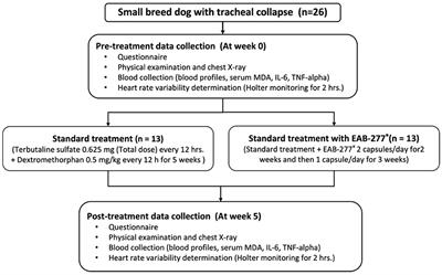 Polyunsaturated Fatty Acid EAB-277® Supplementation Improved Heart Rate Variability and Clinical Signs in Tracheal Collapse Dogs